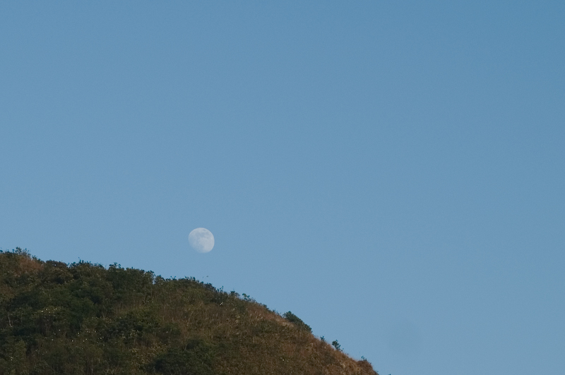 moon rise 1.jpg