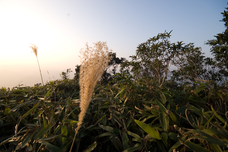 way to 吊手岩 resting 7.jpg