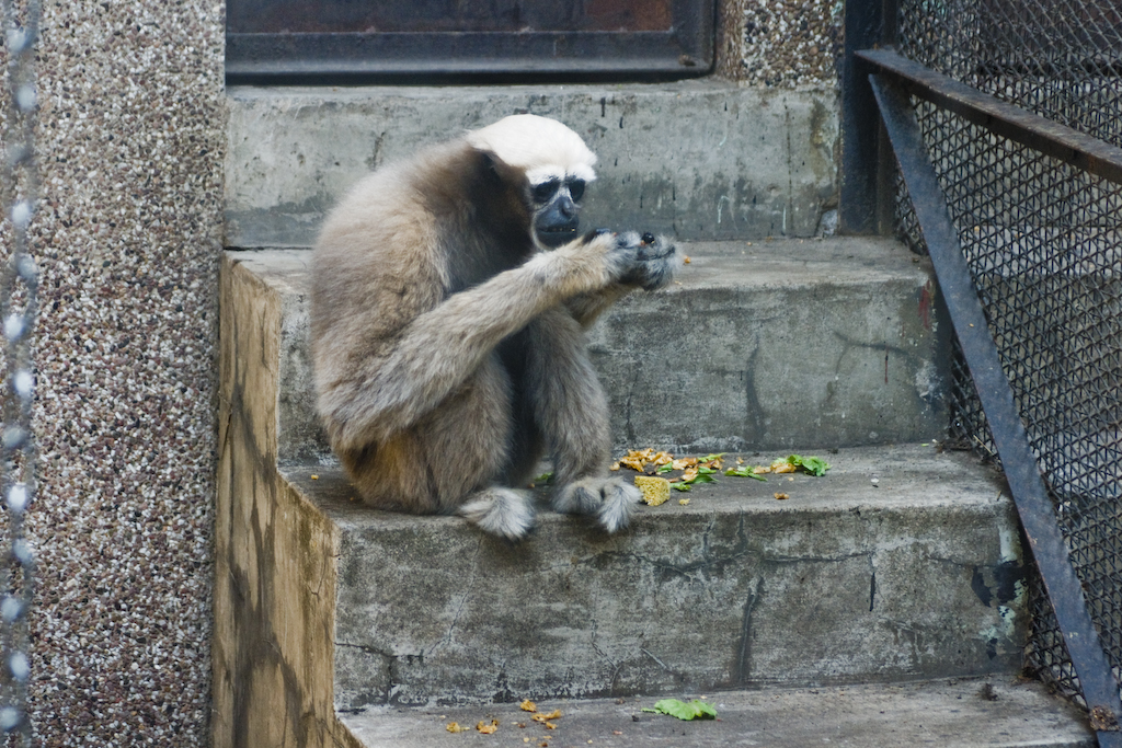 dsc03423.jpg