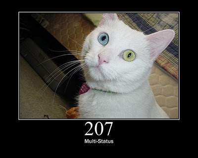 HTTP-Status-Cats-04.jpg
