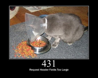 HTTP-Status-Cats-21.jpg