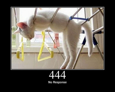 HTTP-Status-Cats-22.jpg