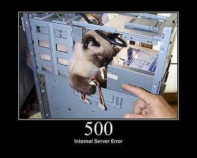 HTTP-Status-Cats-24.jpg