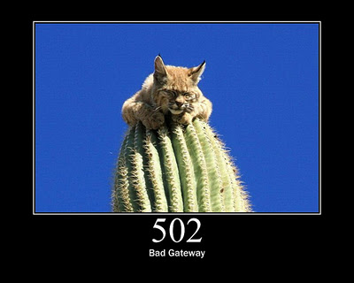 HTTP-Status-Cats-25.jpg