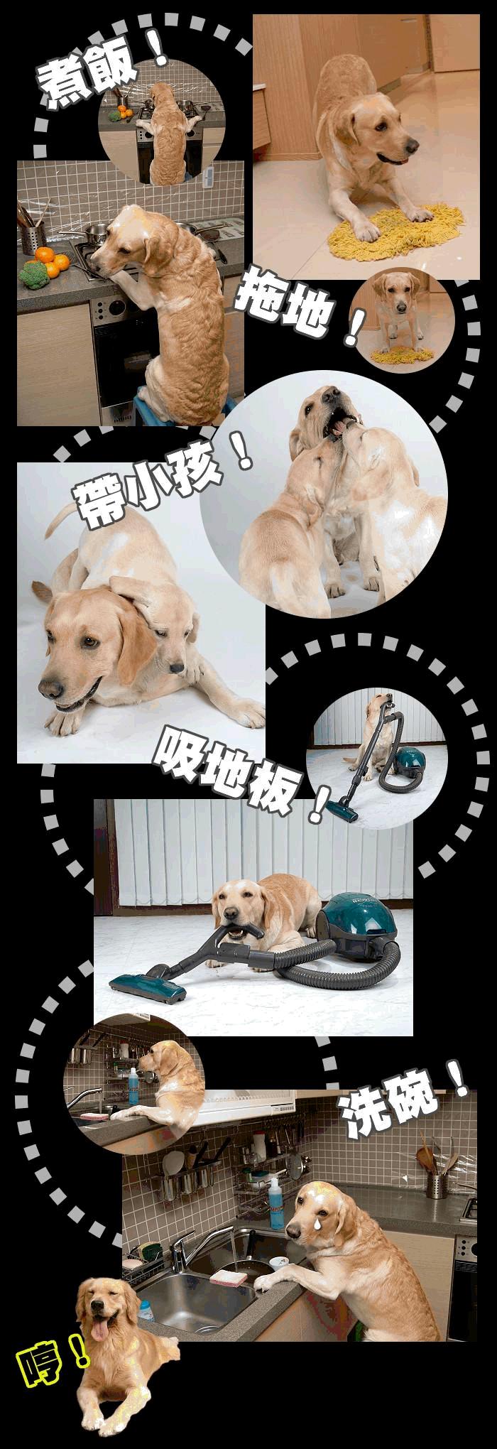 婚後苦況.jpg