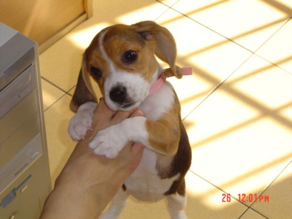 20031026_maggie_chou1201_230101.jpg