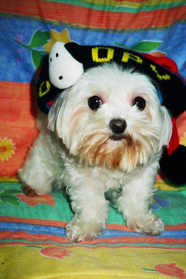20031124_mariawei_100725.jpg