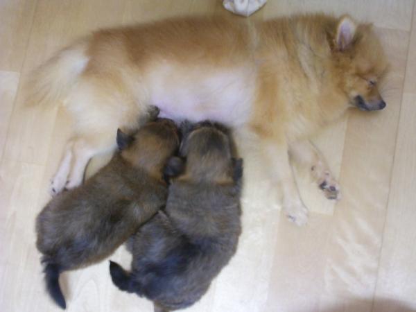 20031127_vivianeric123_105249.jpg