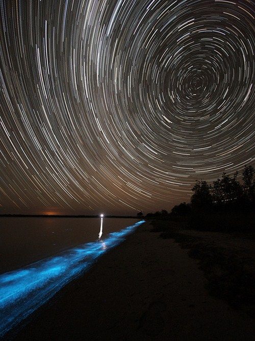 bioluminescent_lake_03.jpg