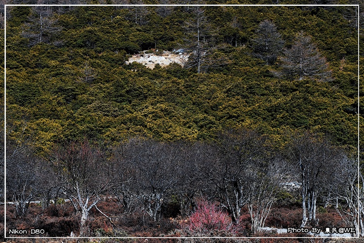 20091122231.jpg