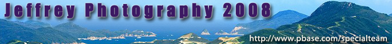 original_009.jpg