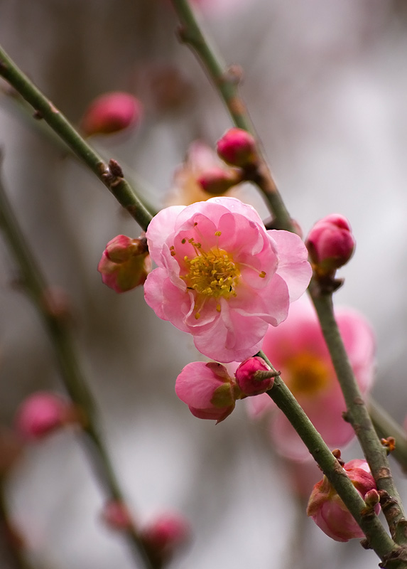 20100205_df672d644ebcbbdf8669xSrWILmxhBgc.jpg