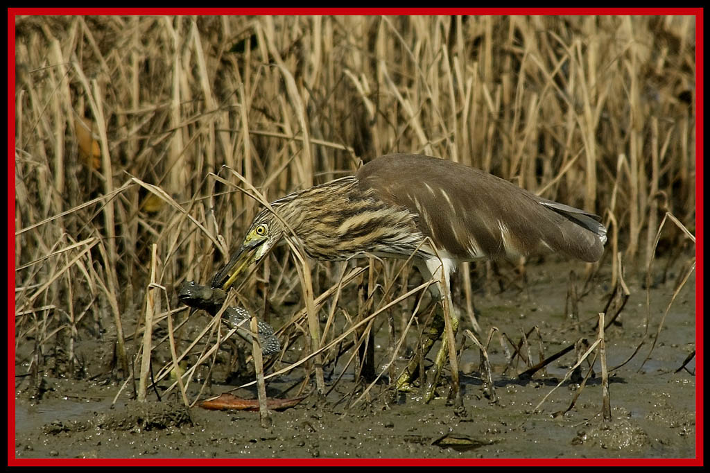 20091106_8d3f71362ceca26da980o0CQS6QkYfIj.jpg