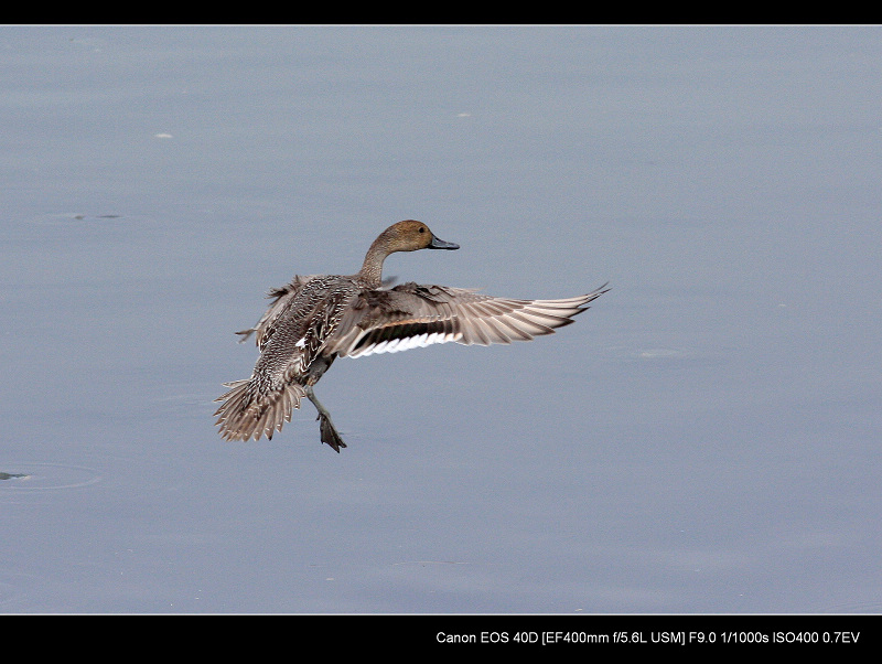 20091108_0673ab75d8c68074776az6j8AGqujOTP.jpg
