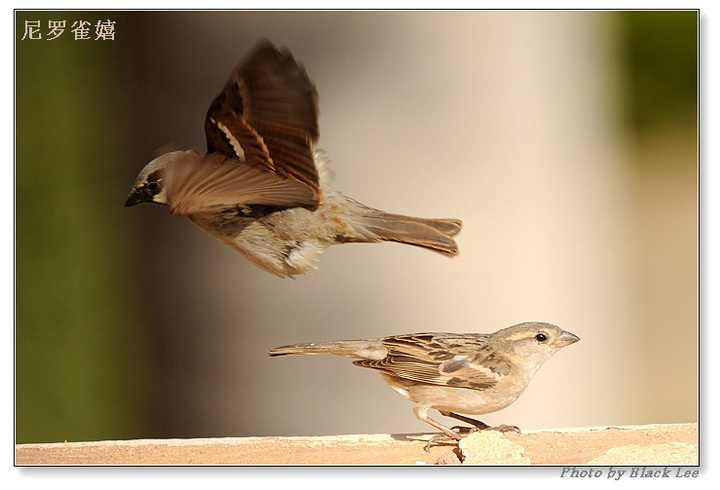 20091229_fe75acedb220986bcafcpBC0jGkOsKFo.jpg