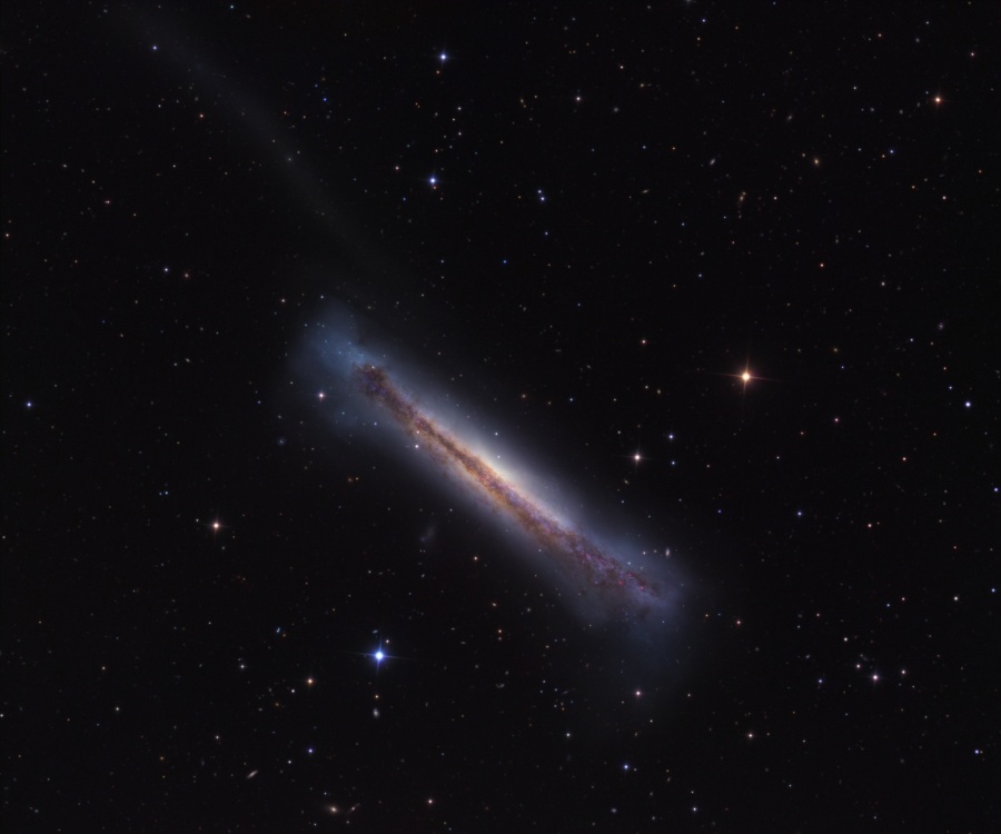 NGC3628crawford900c.jpg