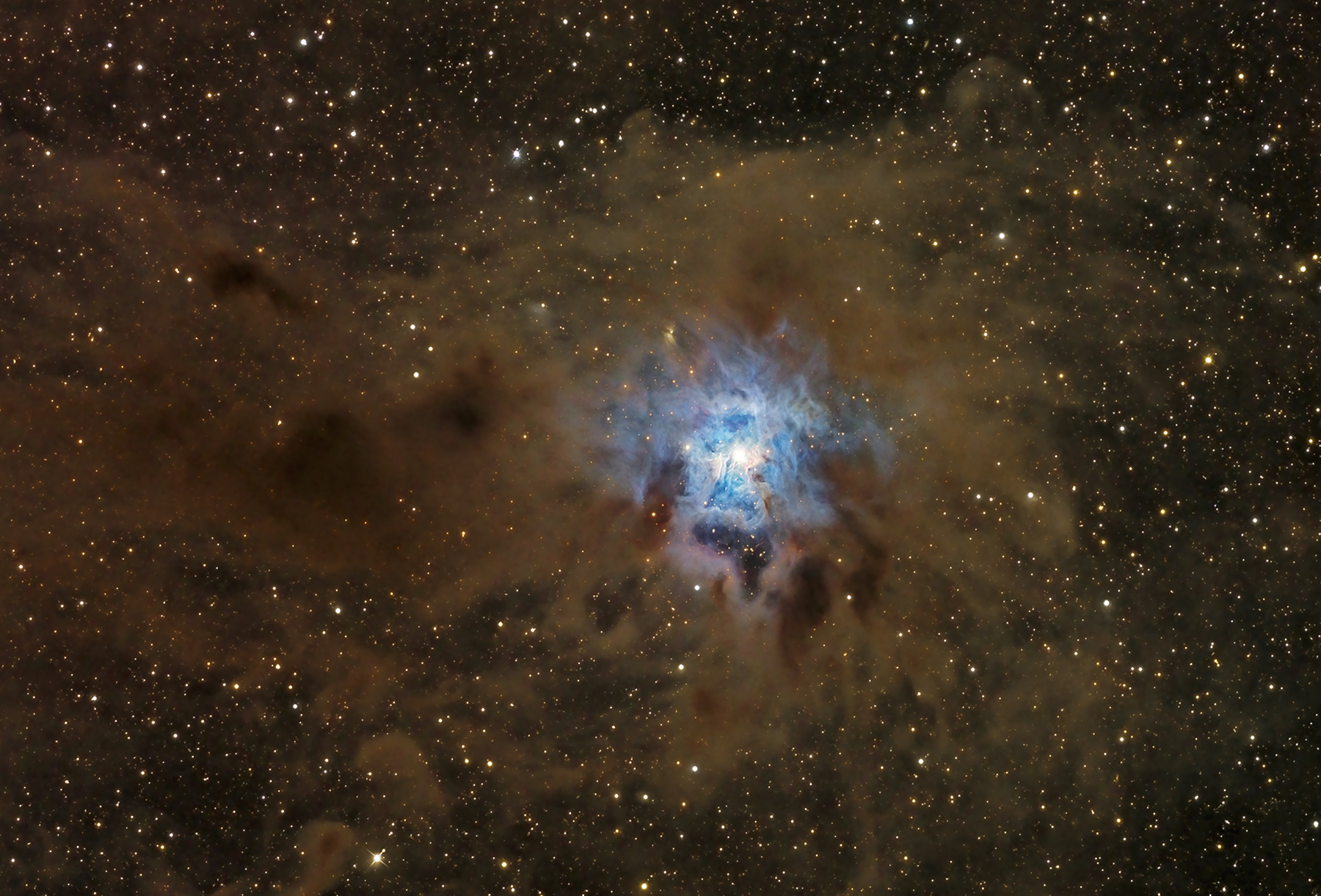 NGC7023_ruiz.jpg