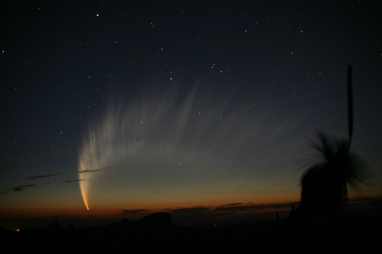 comet_mcnaught_big.jpg