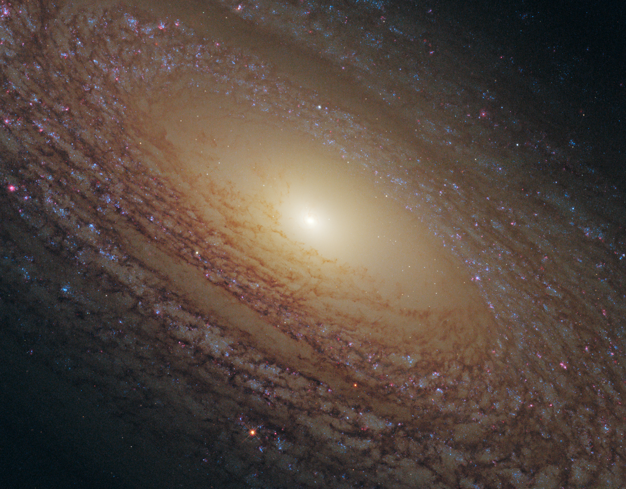 ngc2841c_hst_lg.jpg