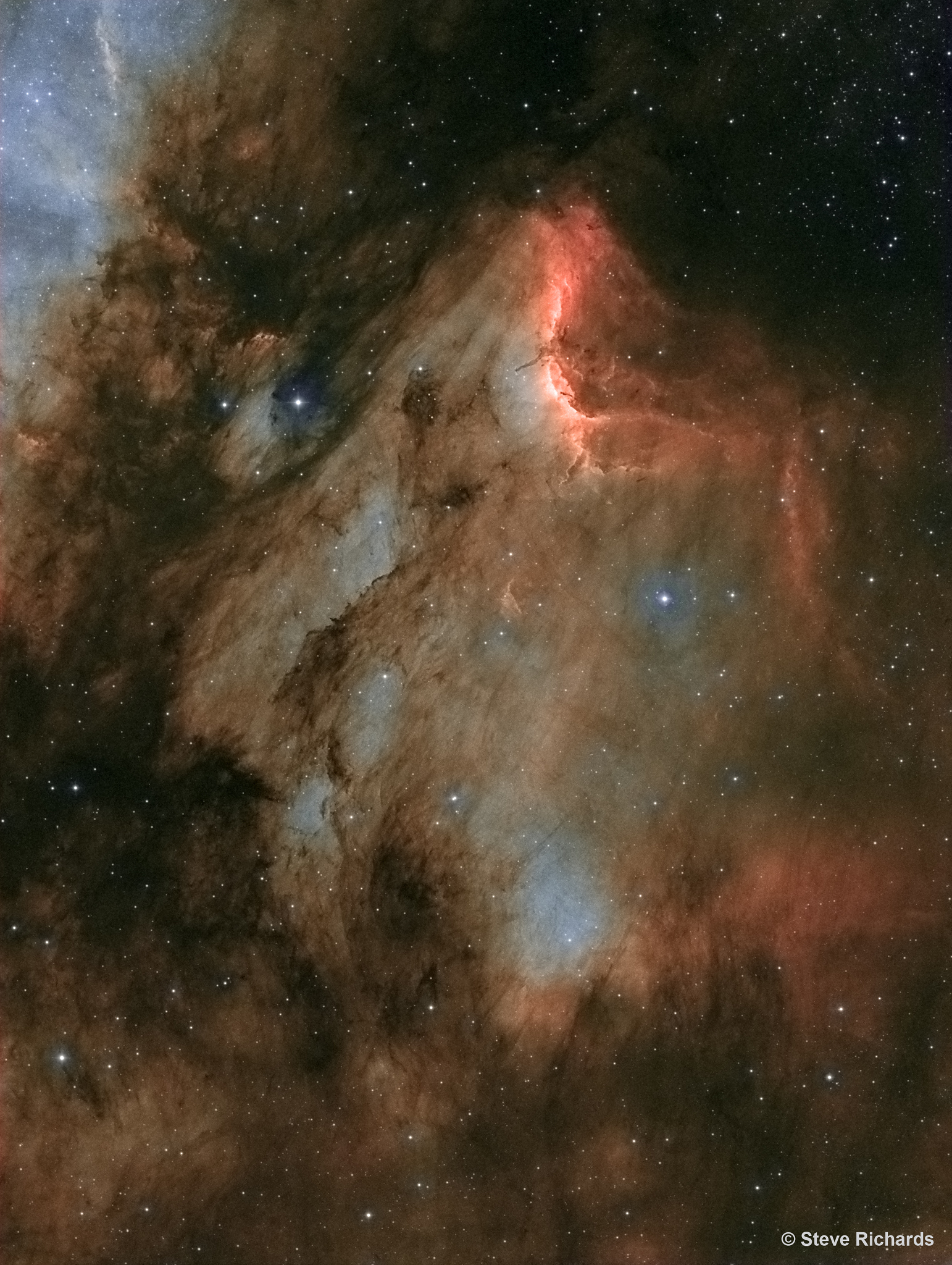 IC5070_Pelican_Nebula_Steve_Richards2048.jpg
