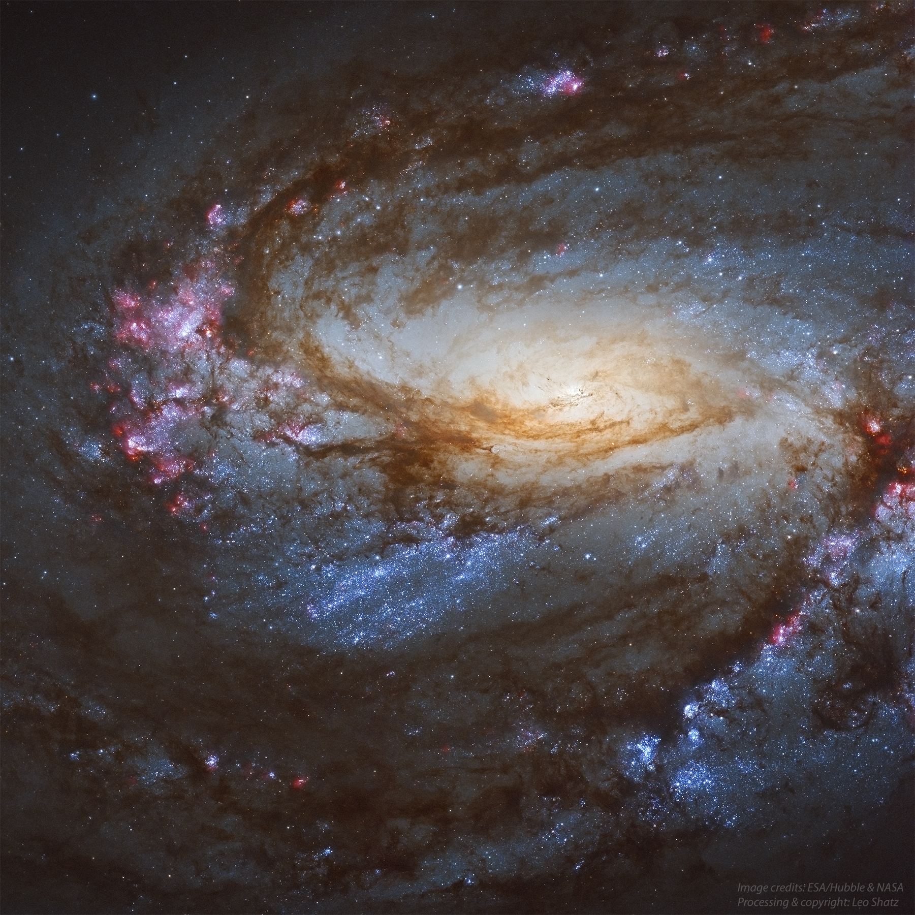 M66_Hubble_LeoShatz_Crop.jpg