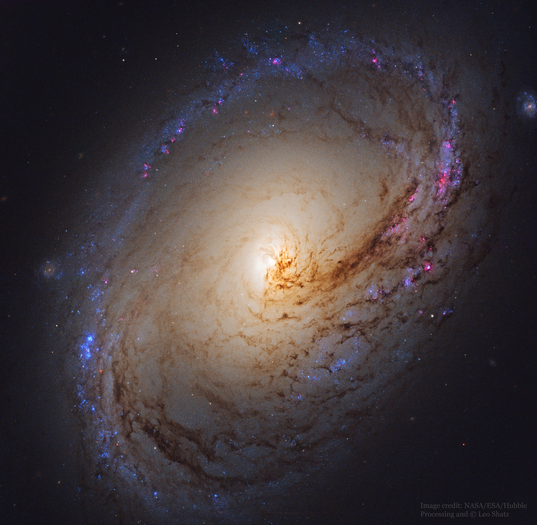 M96_HubbleShatz_1824.jpg