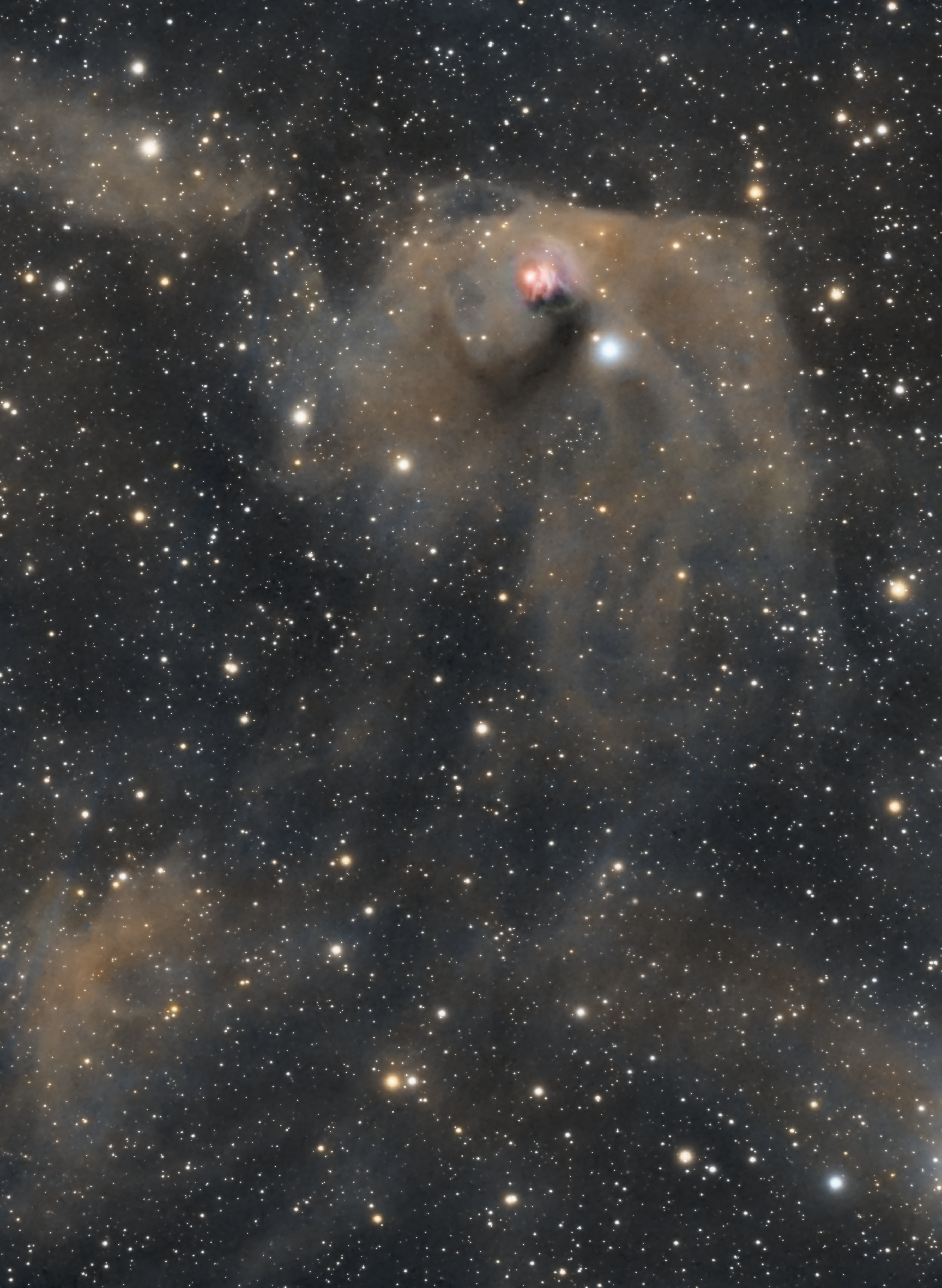 NGC1555texas2021.jpg