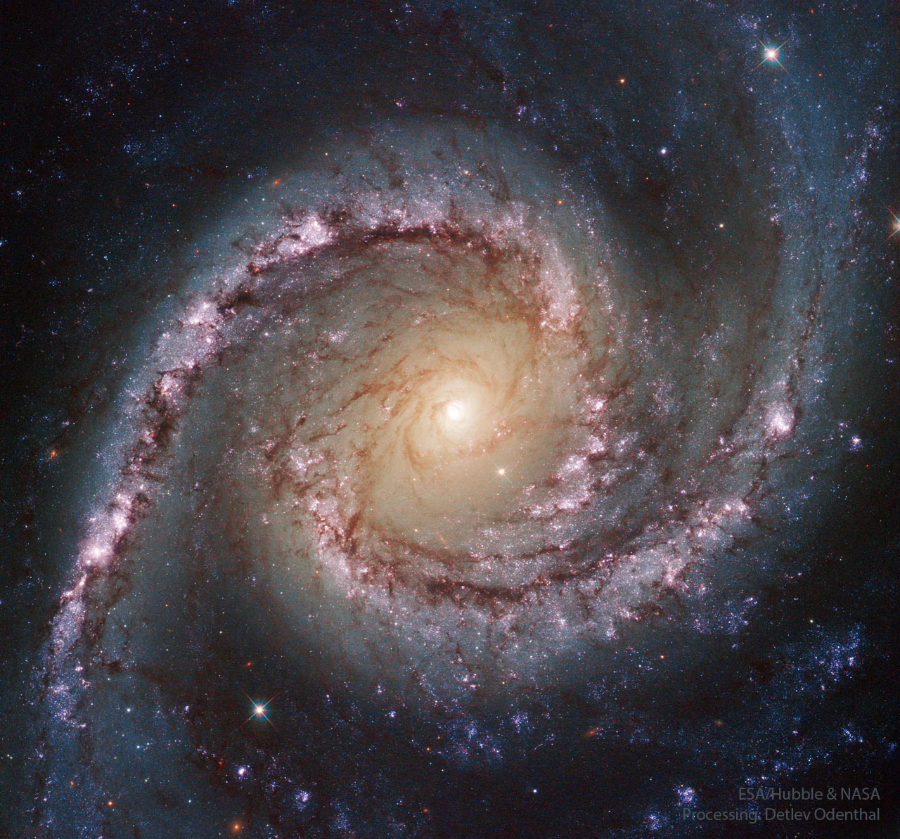 NGC1566_HubbleOdenthal_1280.jpg