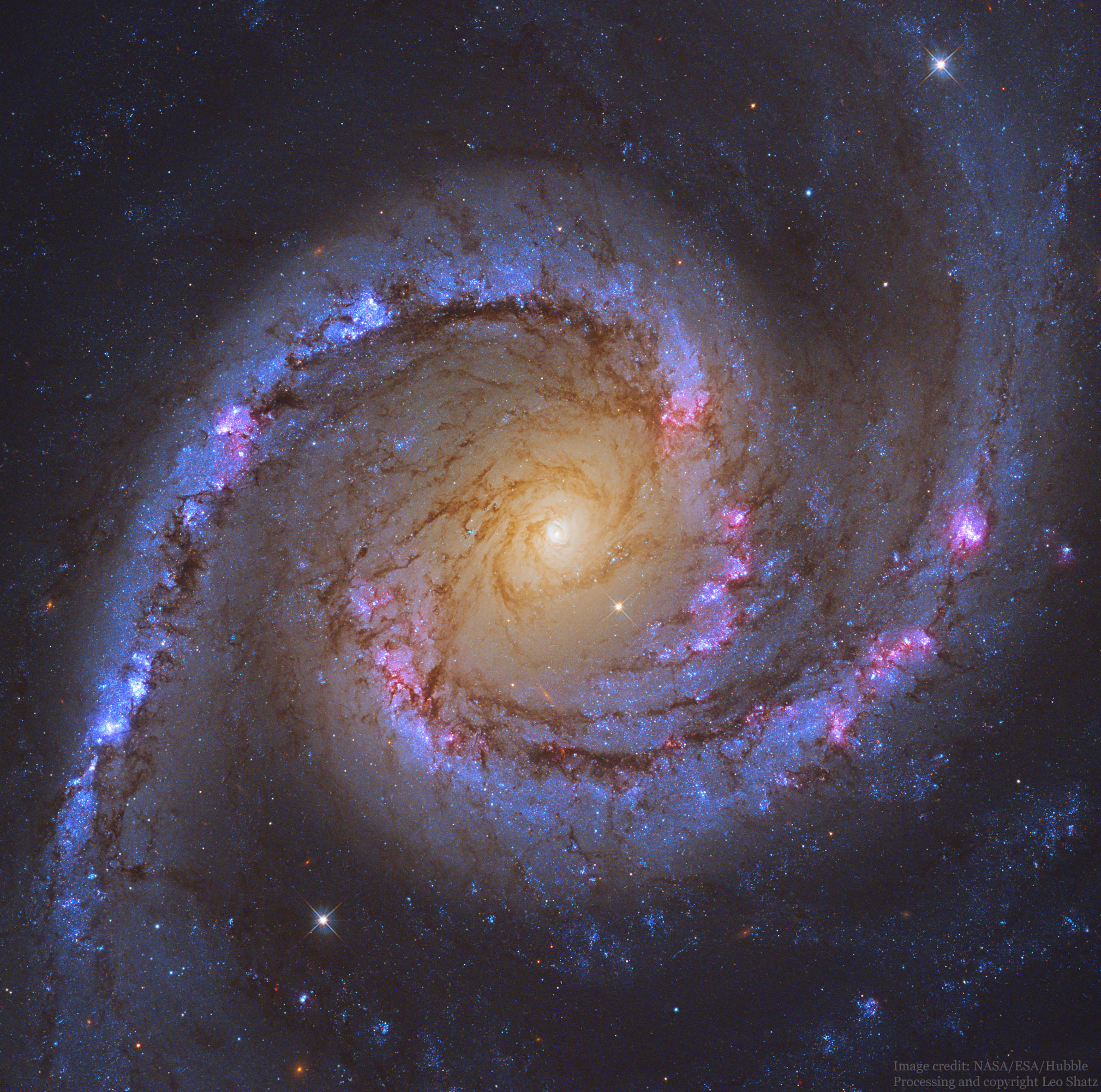 NGC1566_Shatz_2018d.jpg