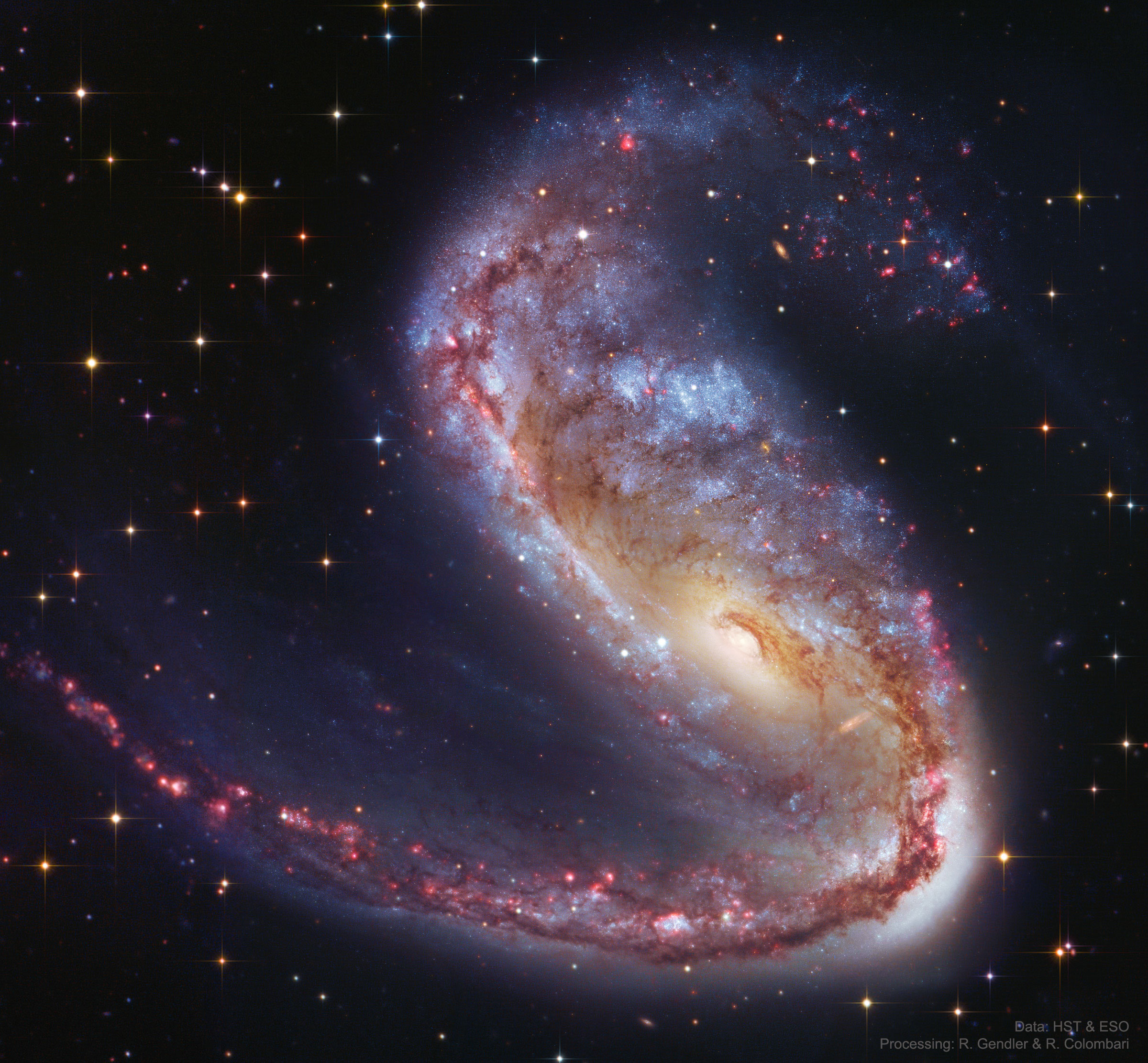 NGC2442_HstGendler_2400.jpg
