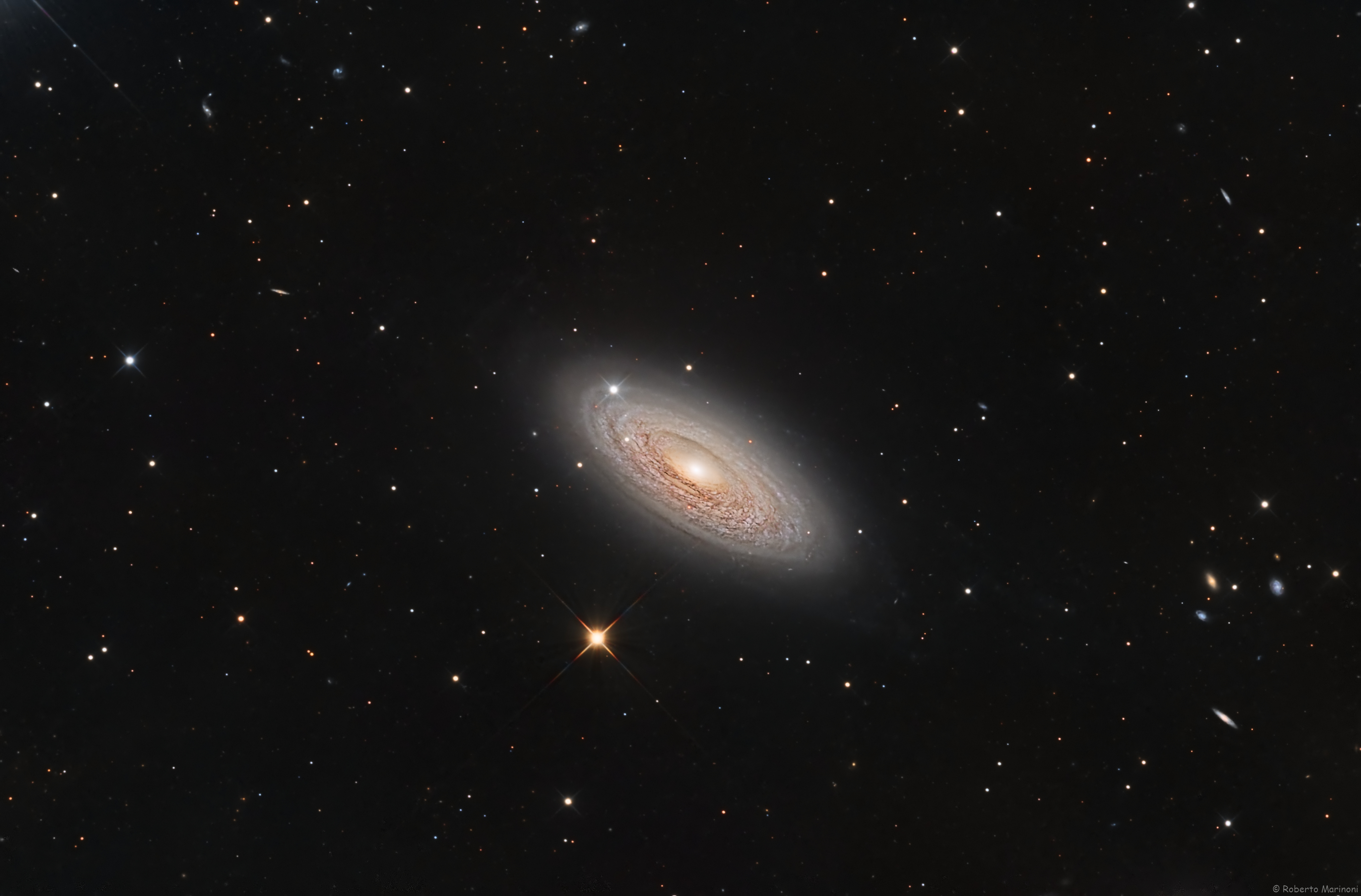 NGC2841_Astrobin.jpg