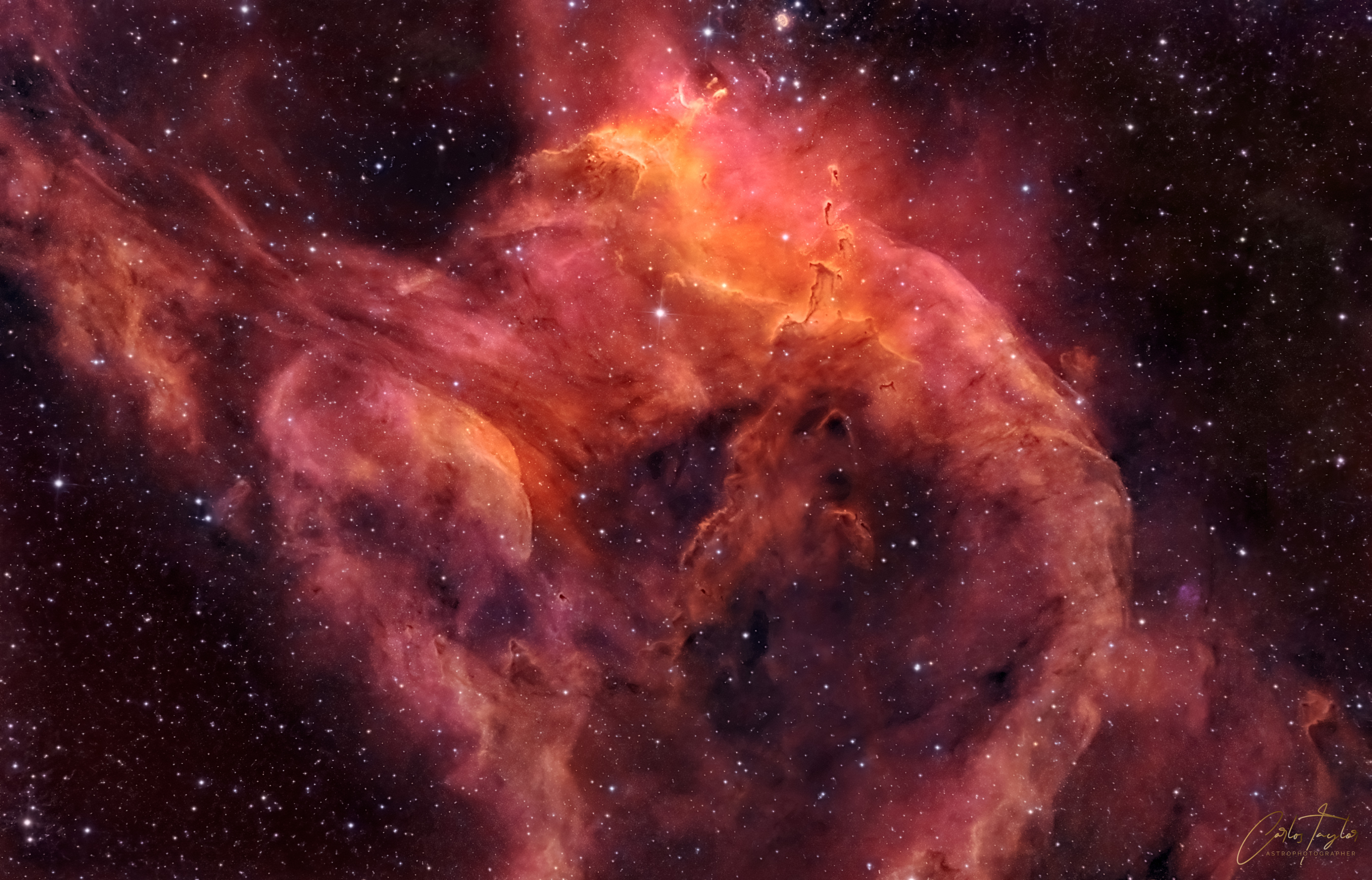 NGC3572SouthernTadpolesCarlosTaylor.jpg
