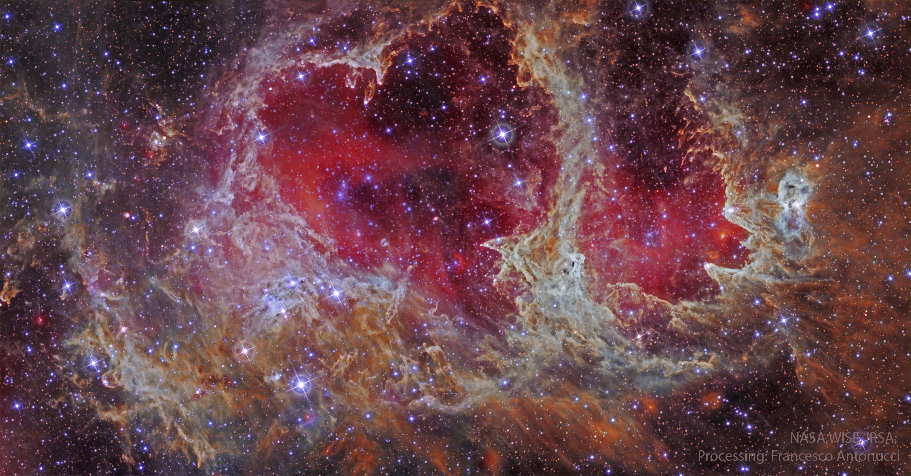 ic1848_WISEantonucci_1824.jpg
