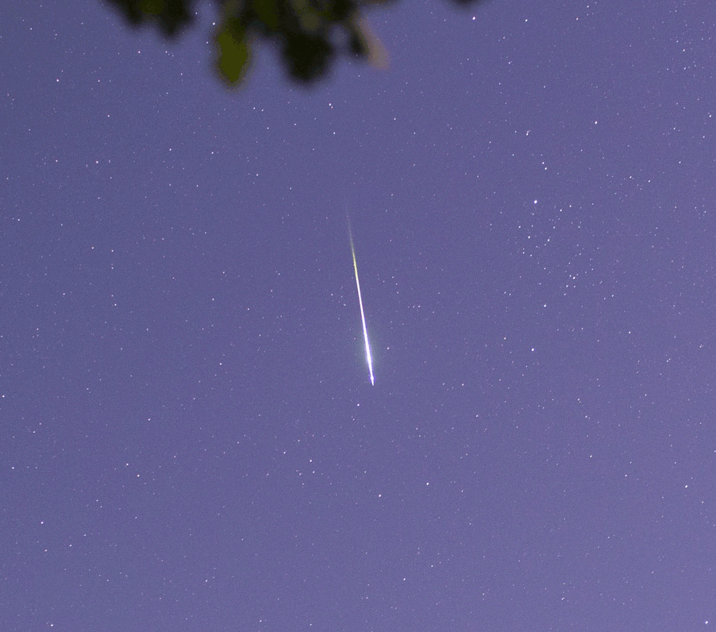 perseid2025-cropped.gif