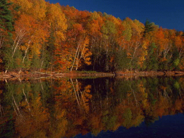 28sc052.gif