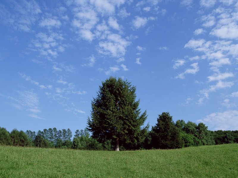 scenery01m.jpg