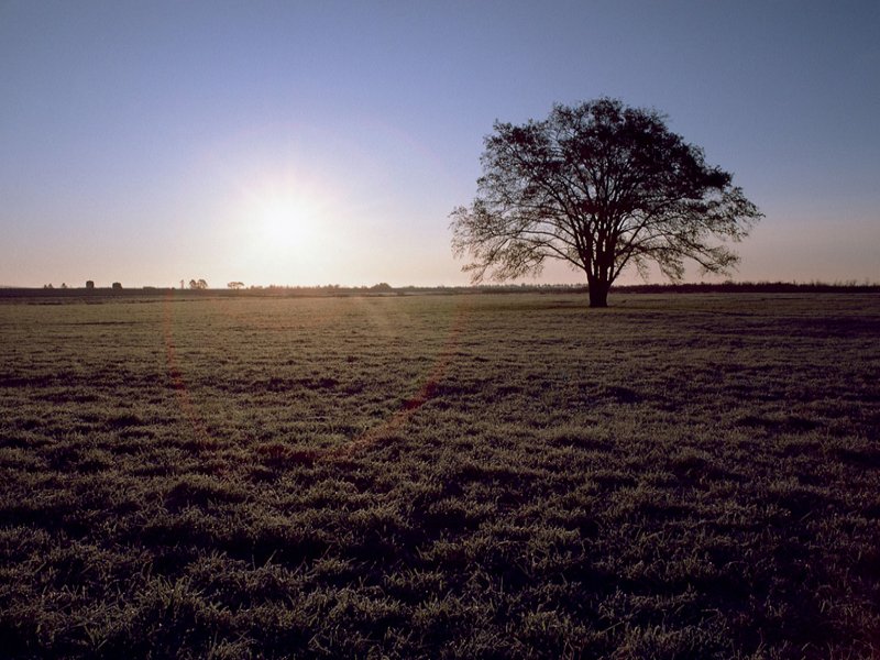 scenery04m.jpg