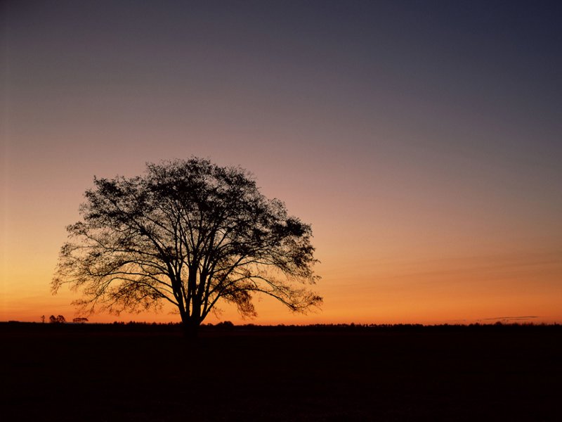 scenery05m.jpg