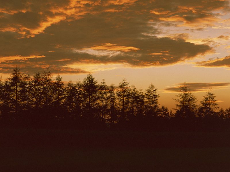 scenery06m.jpg