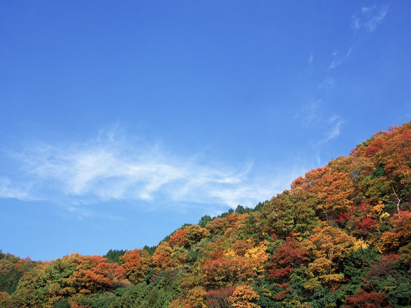 scenery37m.jpg