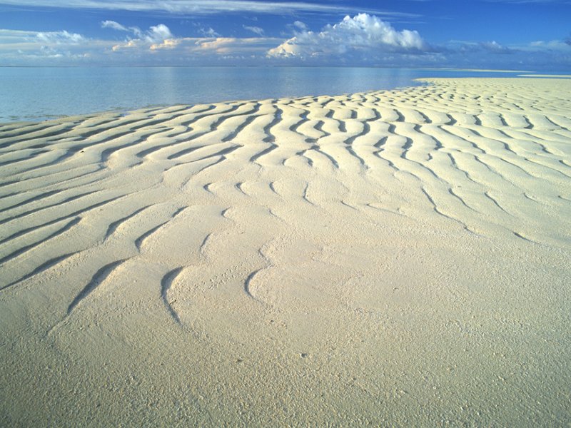 scenery64m.jpg