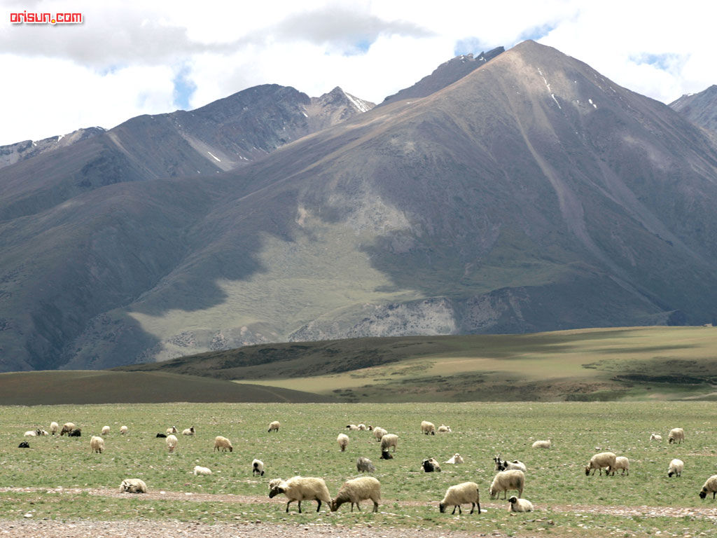 environment_1024x768_2.jpg